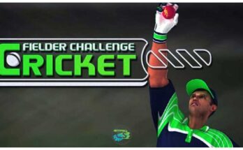 Cricket Fielder Challenge Game