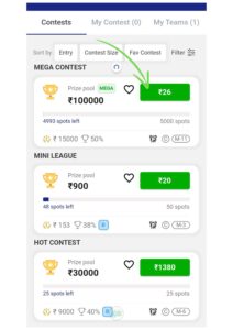 How to play mymaster11 fantasy cricket?