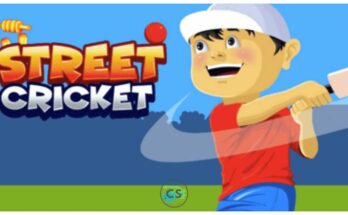 Street Cricket