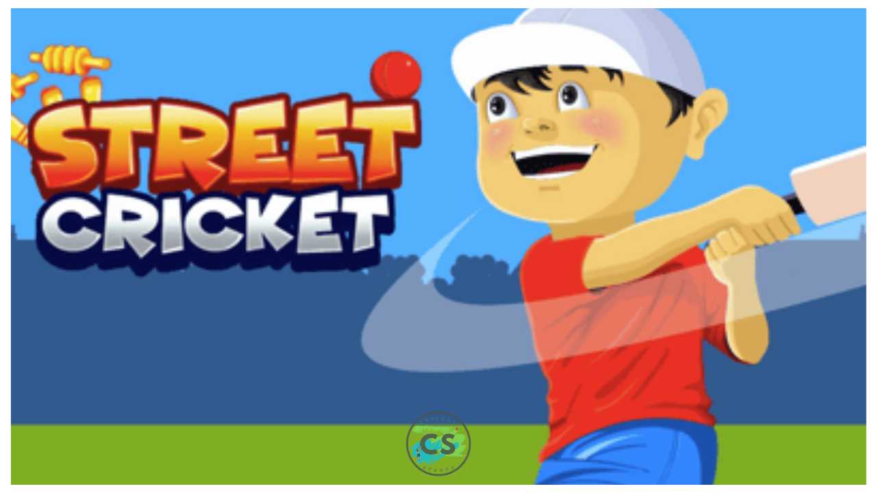 Street Cricket